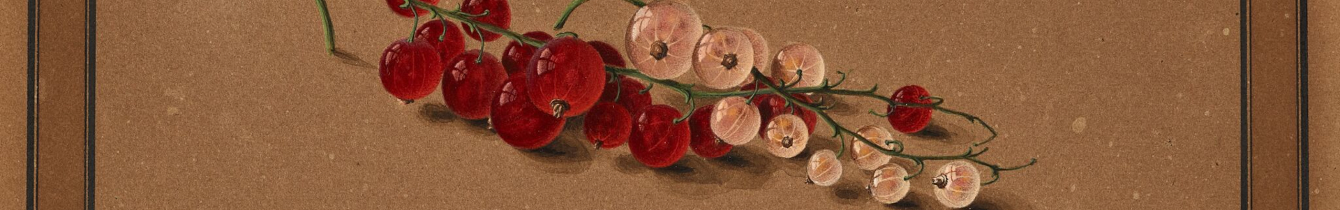 Магия акварели. Из фондов графики XVIII – начала XX века